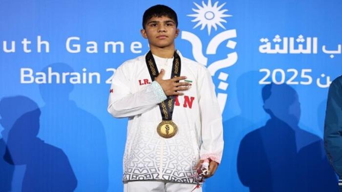 طلای هندبال و کشتی
